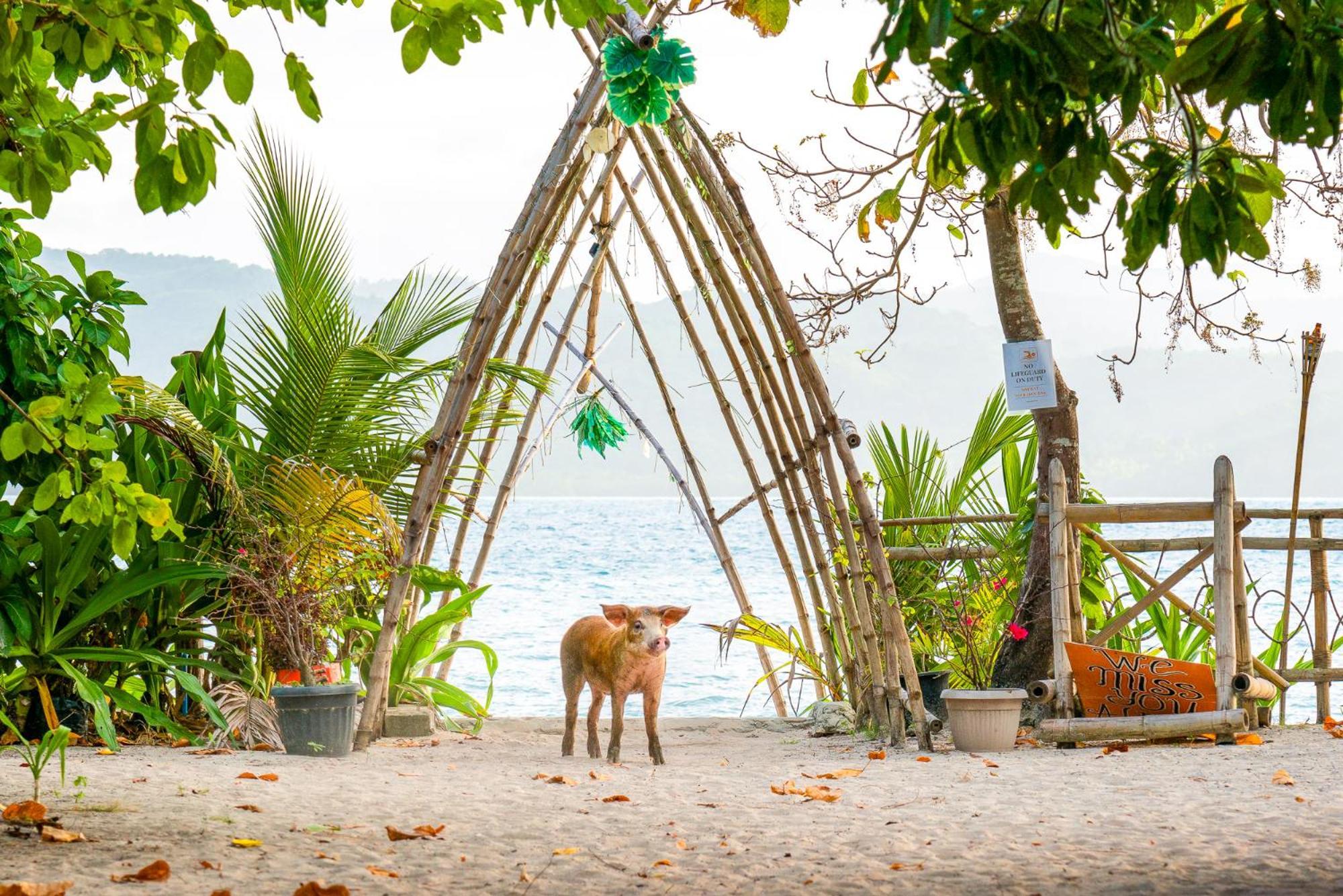 Isla - The Island Experience Hotel El Nido Exterior photo